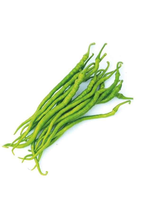 Acı Kıl Sivri Biber Fidesi 5 Adet - Gardina