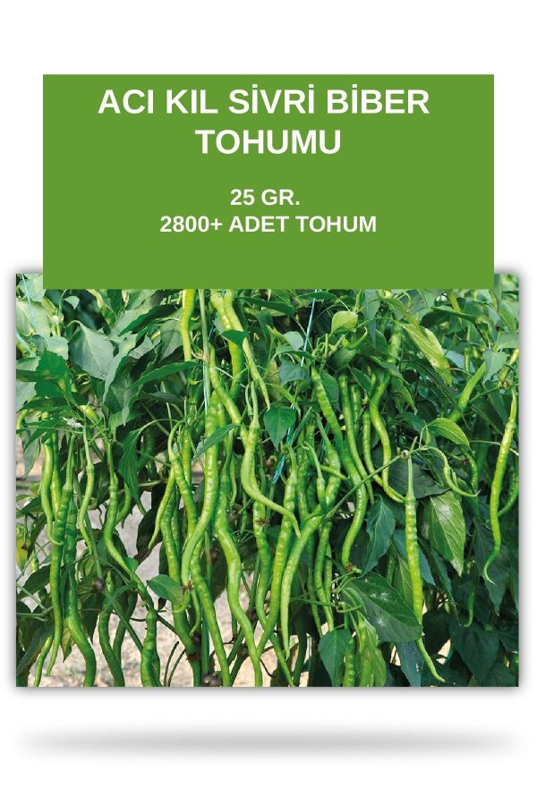 Acı Kıl Sivri Biber Tohumu 25 Gram - Gardina