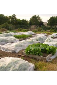 Agril Don Kırağı Örtüsü 3x3 Metre Bitki Koruma Örtüsü - 4