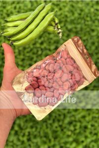 Bakla Tohumu 100 Gram - 2