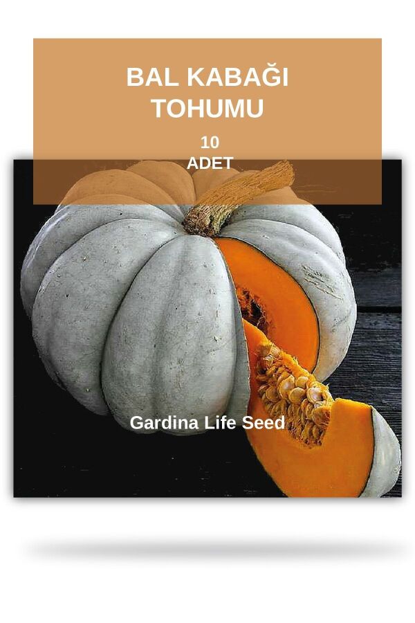 Bal Kabağı Tohumu - Gardina