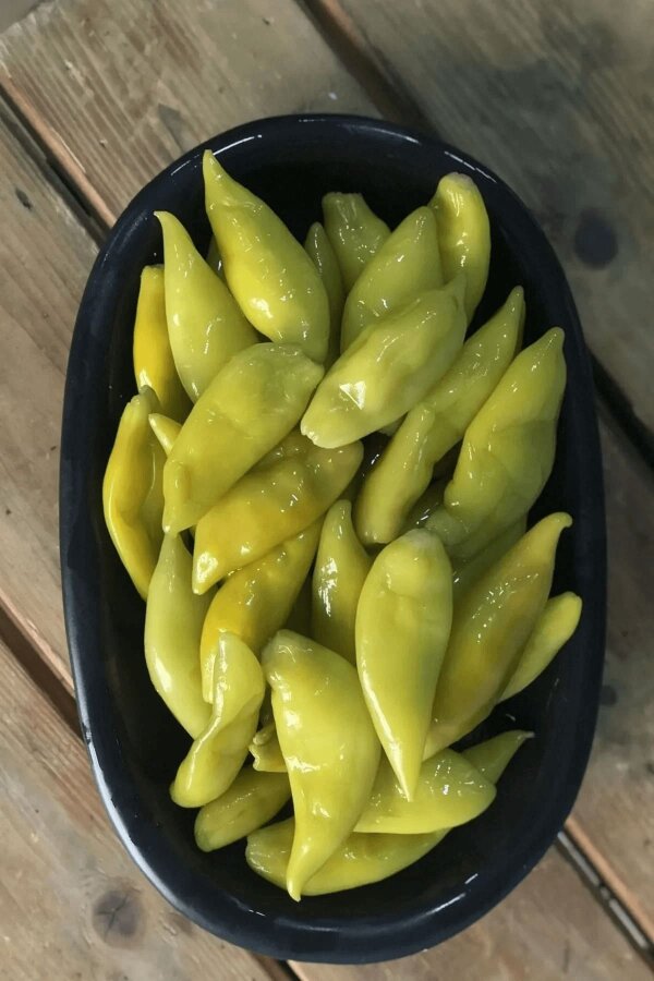 Balık Biberi Fidesi 5 Adet