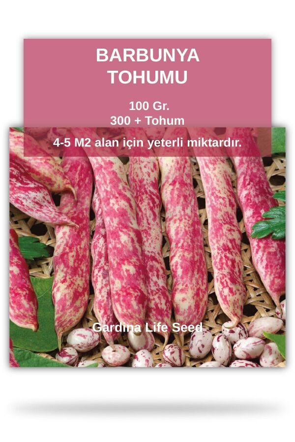 Barbunya Tohumu 100 gram 300 Tohum - Gardina