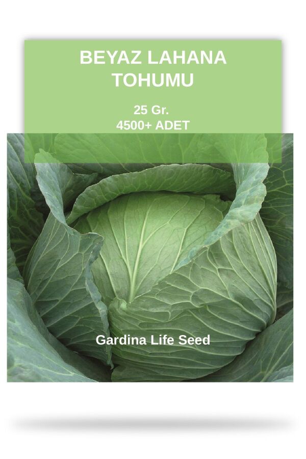 Beyaz Lahana Tohumu 25 gram 4500 Tohum - Gardina