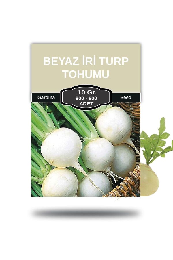 Beyaz Turp Tohumu Iri 10 Gr. 800 Tohum - 
