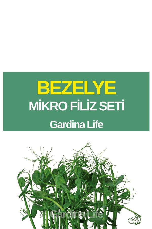 Bezelye Mikro Filiz Seti - 