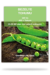 Bezelye Tohumu 100 gram 400 Tohum - 1