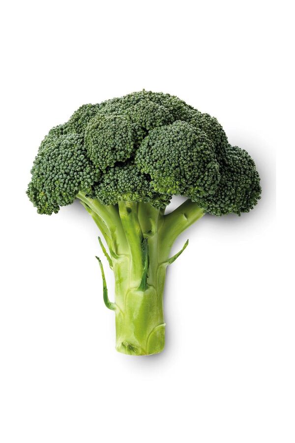 Brokoli Fidesi 10 Adet - 2