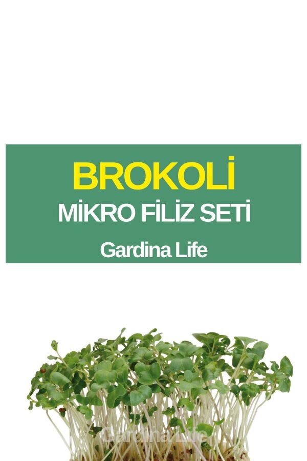 Brokoli Mikro Filiz Seti - 