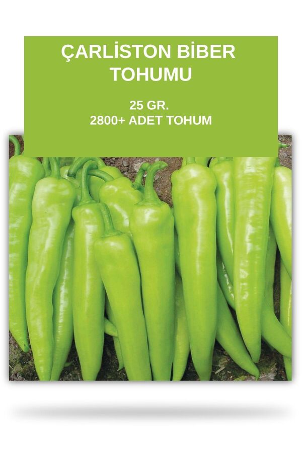 Çarliston Biber Tohumu 25 gram 2800 Tohum - 