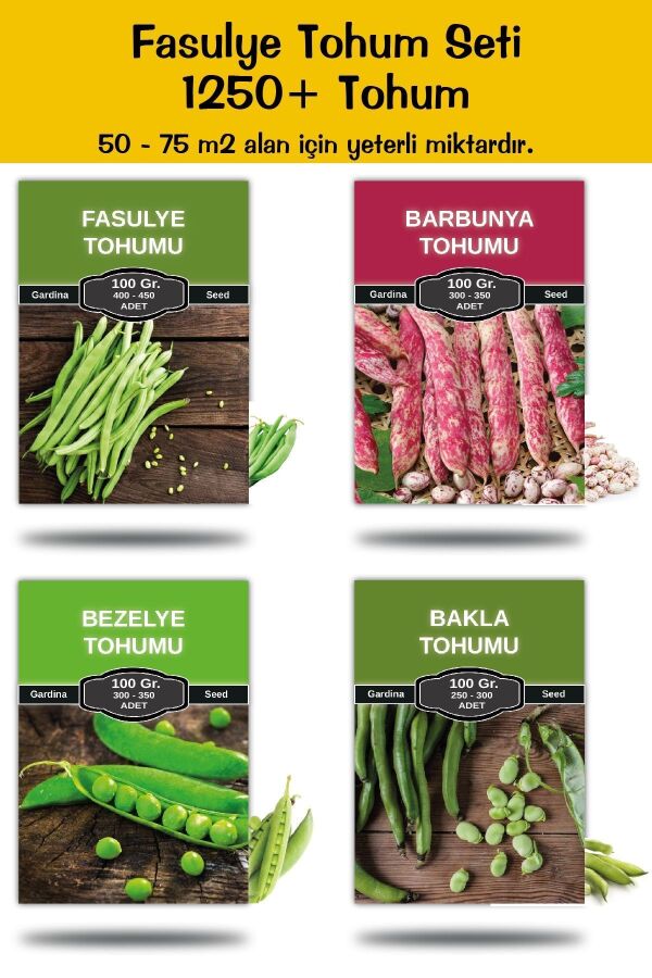Fasulye Tohum Seti 4 Çeşit 400 Gr. 1250 Tohum - 