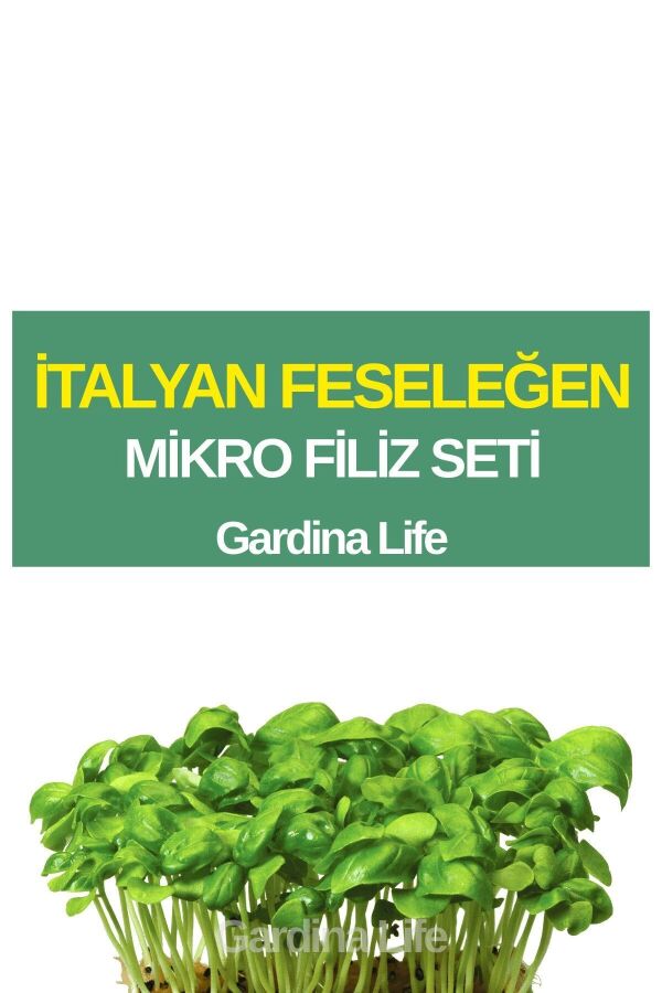 Fesleğen Mikro Filiz Seti - 