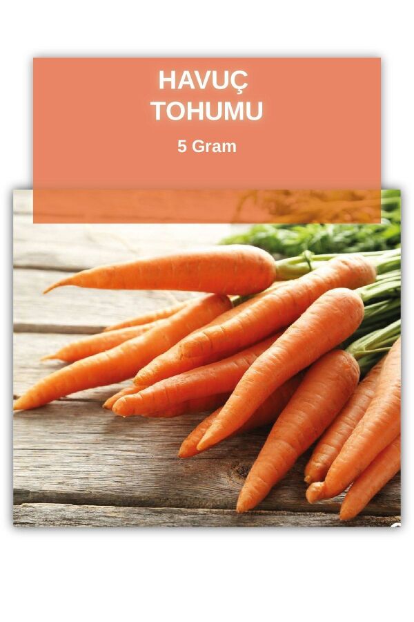 Havuç Tohumu 5 gram 5000 Tohum - 