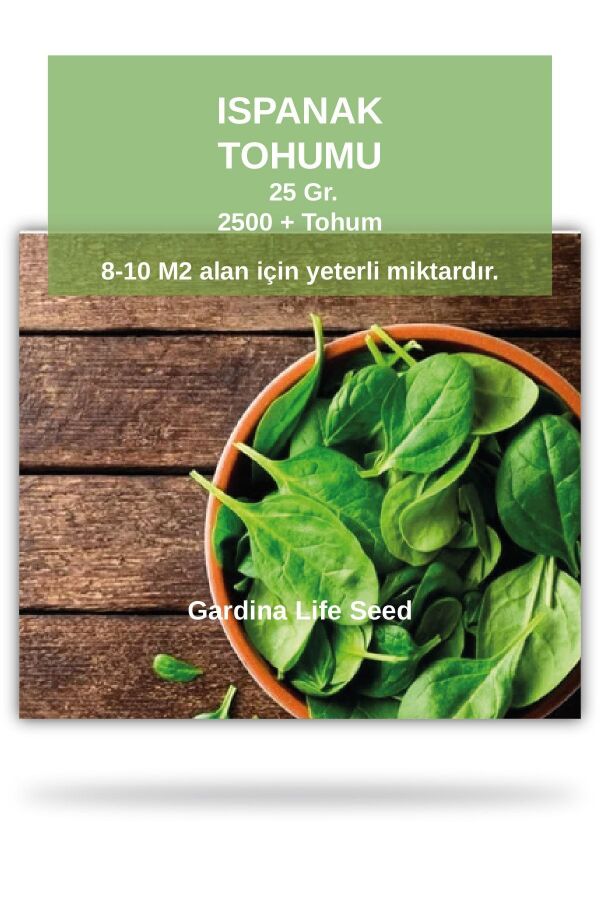 Ispanak Tohumu 25 gram Geniş Yaprak ( 2200 Adet Tohum) STOH135, one size - 
