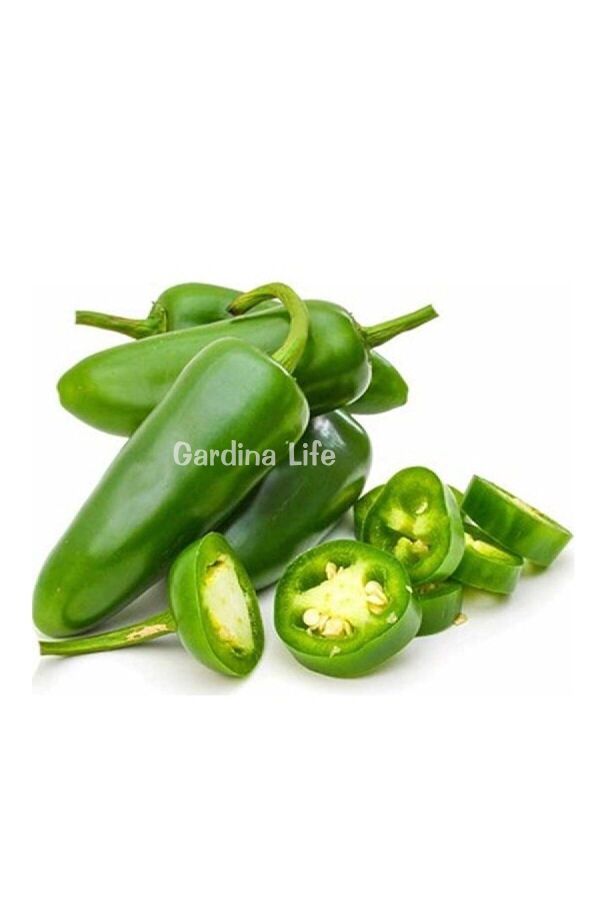 JALAPENO Biber Fidesi 5 Adet - 7
