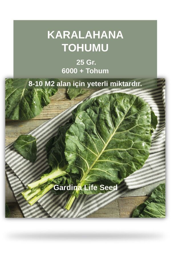 Karalahana Tohumu 25 gram 6000 Tohum ( Karadeniz Lahanası ) - 