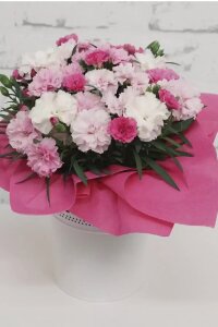 Karanfil Çiçeği Fidesi I Love You   - 6