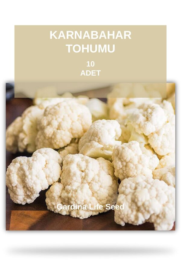 Karnabahar Tohumu - Gardina