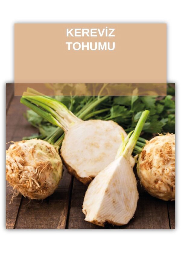 Kereviz Tohumu 25 Gr. ( Çanakkale Kök ) 5000 Tohum - Gardina