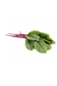 KIRMIZI Kuzukulağı Ekşi Otu Fidesi 10 Adet - 7