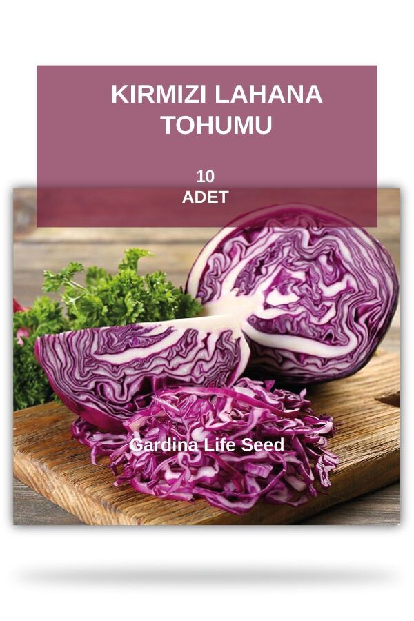 Kırmızı Lahana Tohumu - 