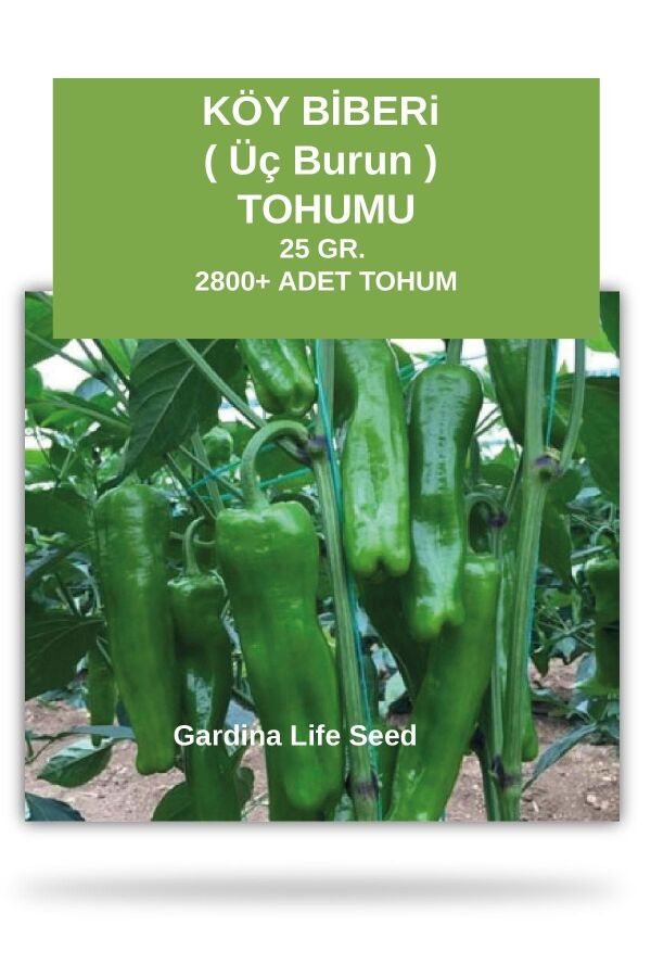 Köy Biberi Tohumu 25 gram 2800 Tohum - 