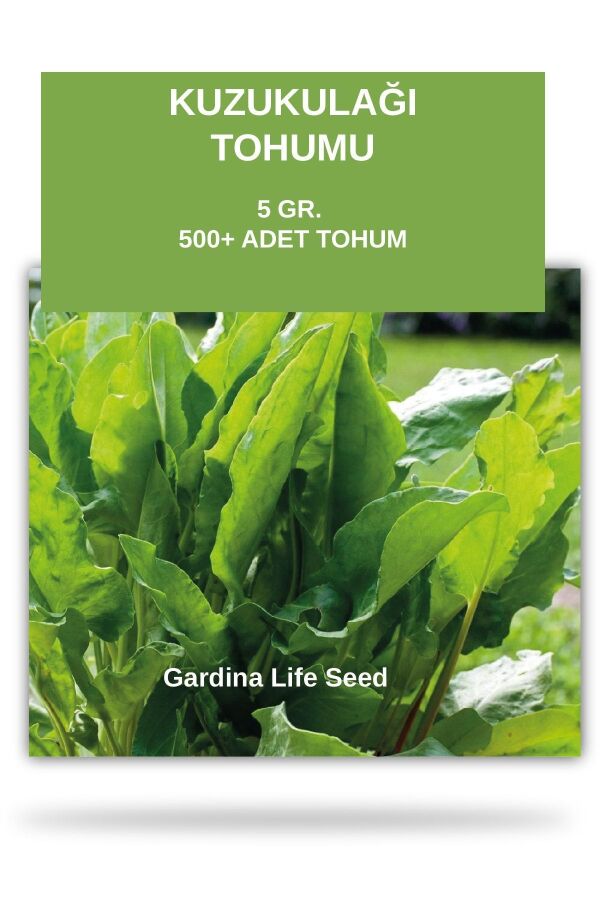Kuzu Kulağı Tohumu ( Ekşi Otu ) 5 gram 500 Tohum - 