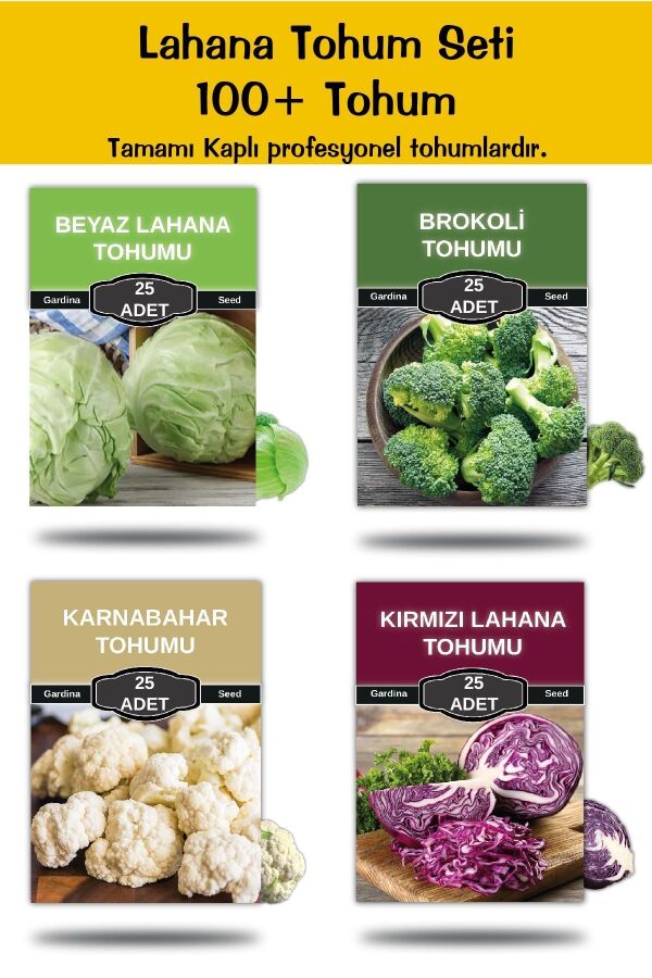 Lahana Tohum Paketi 100 Tohum ( Kaplı Profesyonel Tohum ) - 