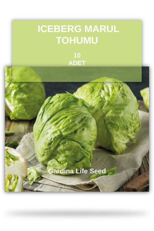 Marul Iceberg Göbek Marul Tohumu - 