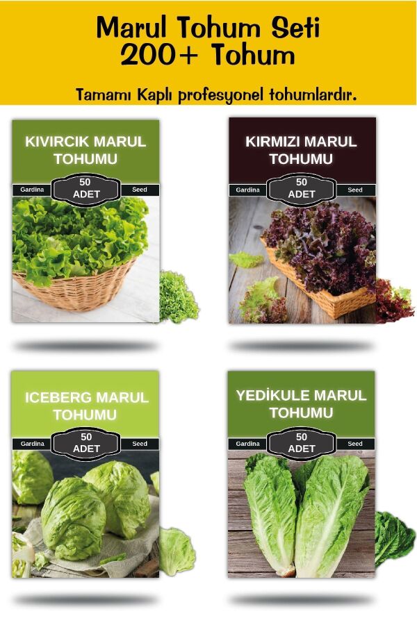 Marul Tohumu Paketi 100 Adet ( Kıvırcık , Akdeniz , Yedi Kule , Göbek ) - 