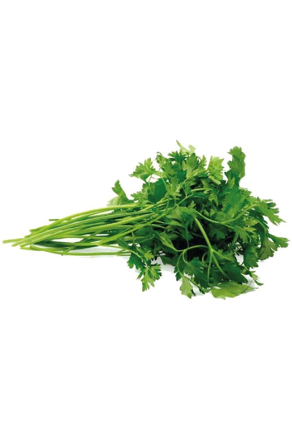 Maydanoz Fidesi 20 Adet - 2