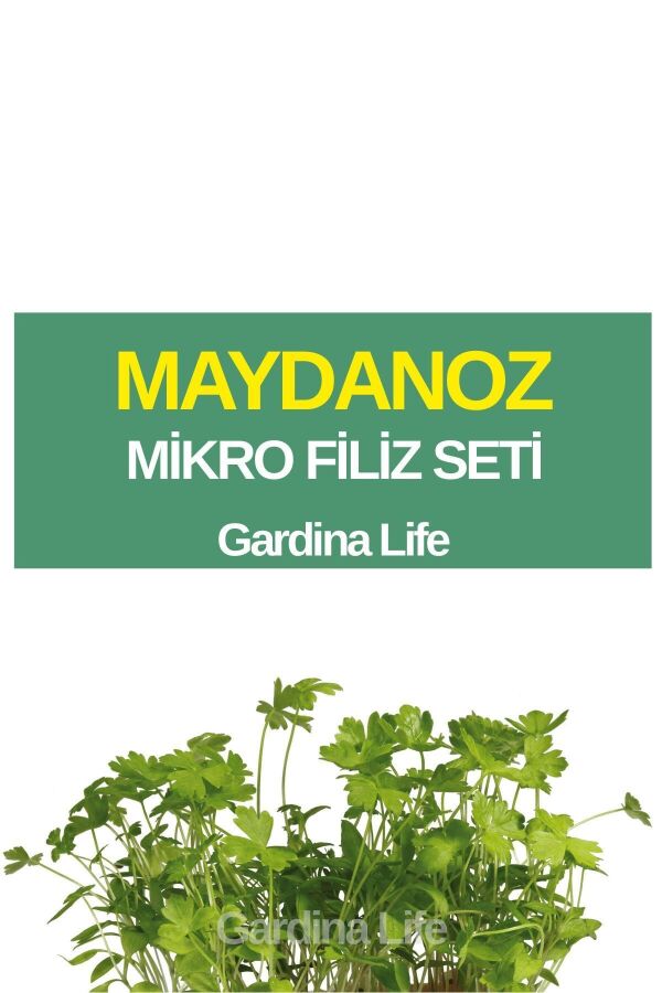 Maydanoz Mikro Filiz Seti - 