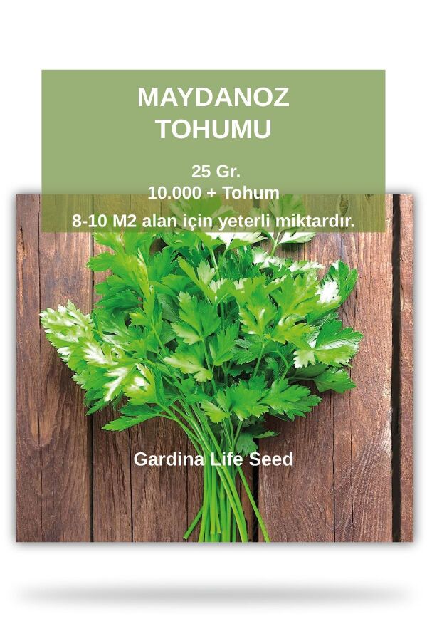 Maydanoz Tohumu 25 Gr. 10.000 Tohum STOH149, one size - 