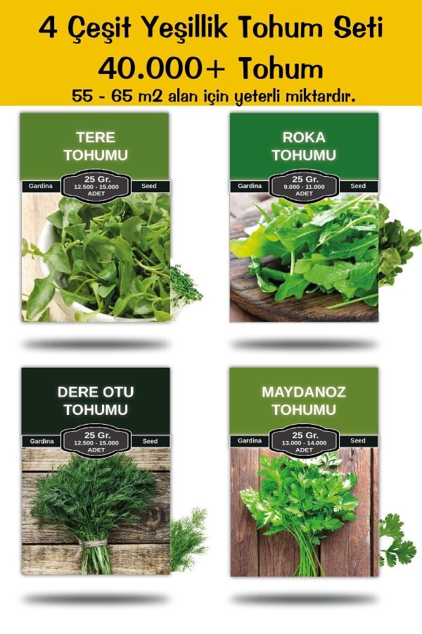 Mega Boy 4 Çeşit Yeşillik Tohum Paketi Maydanoz , Roka , Tere , Dereotu Toplam 100 Gr. 45.000 Tohum STOH100GR, one size - 
