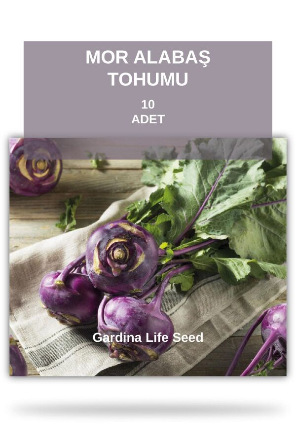 Mor Alabaş Tohumu 30 Adet - Gardina
