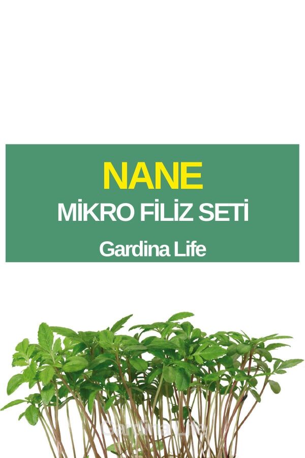 Nane Mikro Filiz Seti - 