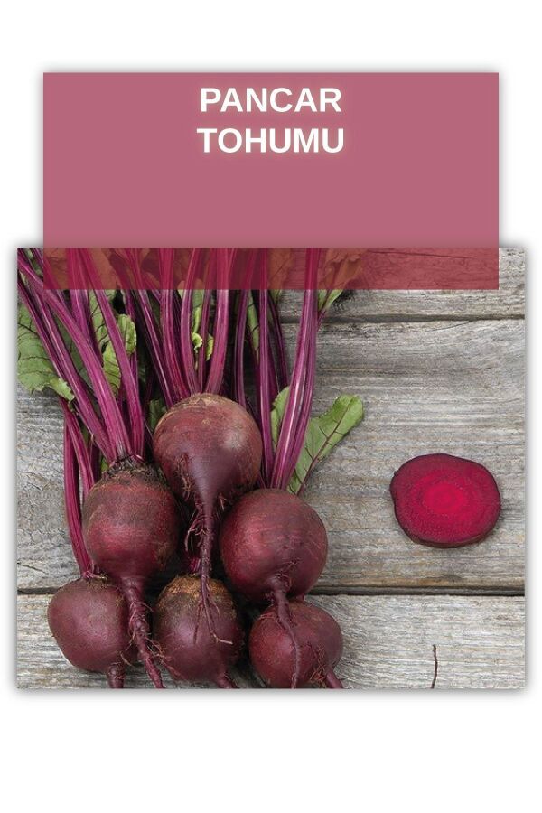 Pancar Tohumu 5 gram 700 Tohum - 