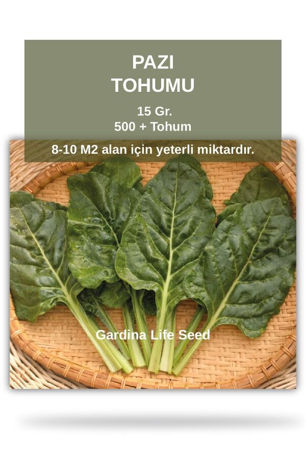 Pazı Tohumu 25 Gr. 500 Tohum - Gardina