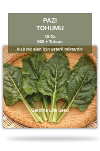 Pazı Tohumu 25 Gr. 500 Tohum - 1