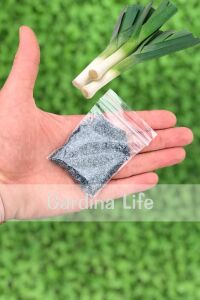 Pırasa Tohumu 15 Gr. 4500 Tohum - 3