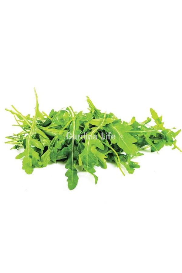 Rakula Baby Roka Fidesi 10 Adet - 5