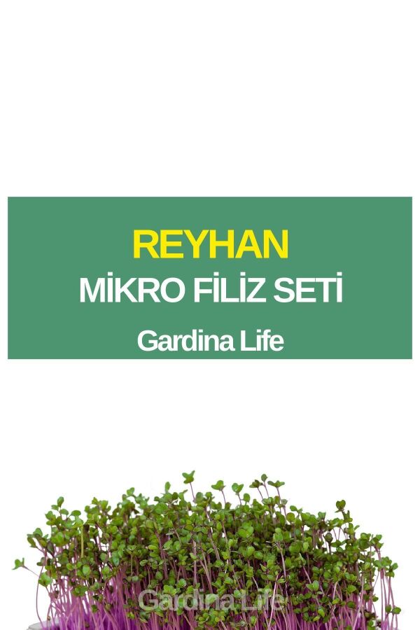 Reyhan Mikro Filiz Seti - 