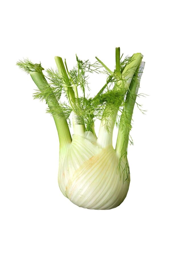 Rezene Fidesi 10 Adet - 2