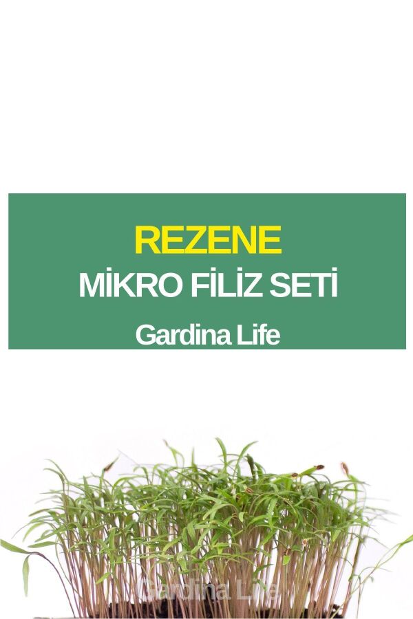 Rezene Mikro Filiz Seti - 