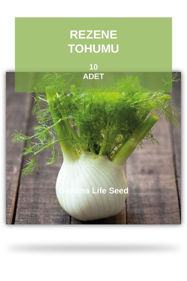 Rezene Tohumu 10 Adet - 