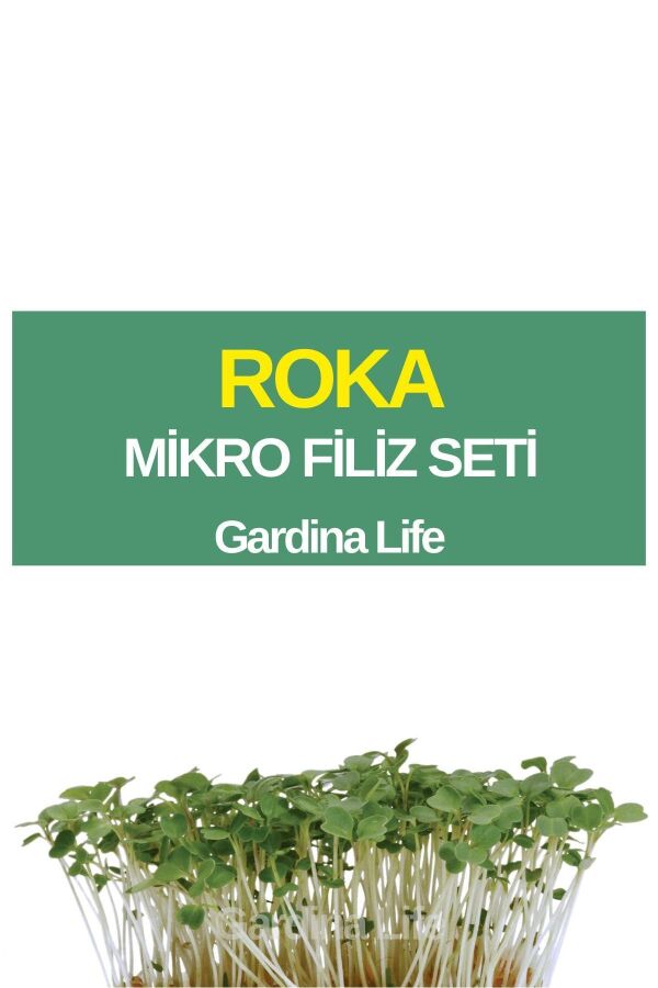 Roka Mikro Filiz Seti - 