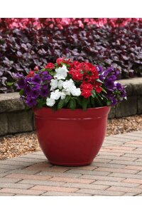 Rozet  Fidesi  Mix ( Vinca ) - 3
