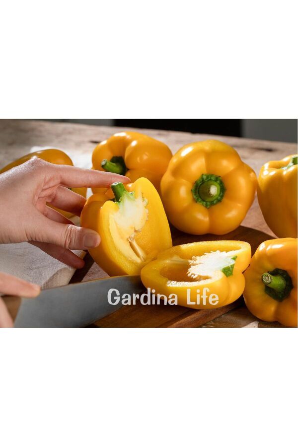 SARI Kaliforniya Biber Fidesi 5 Adet - 6