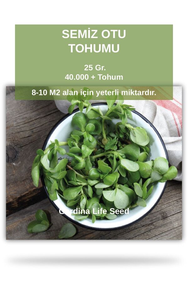 Semizotu Tohumu 25 Gr. 40.000 Tohum STOH160, one size - 