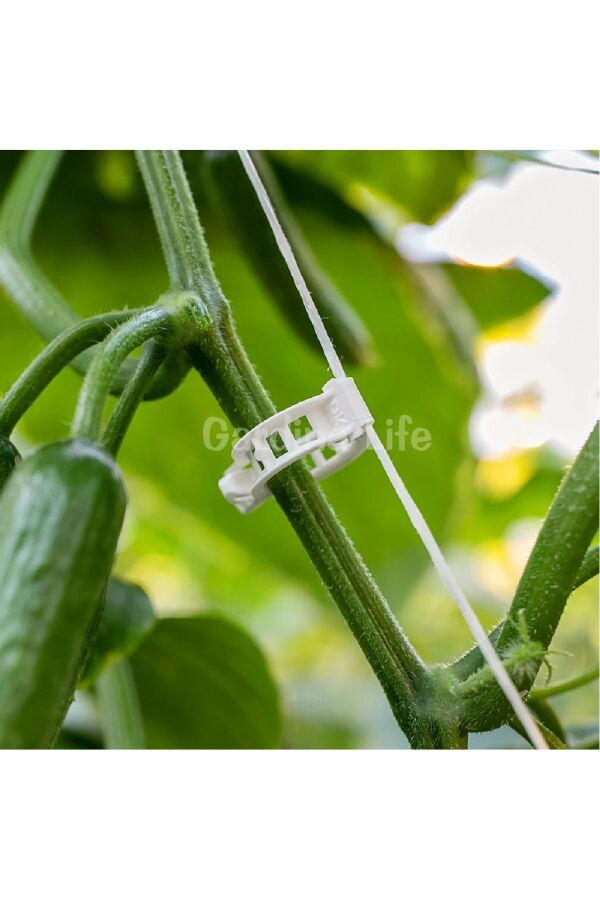 Sera İpi - Bitki Bağlama İpi - 3